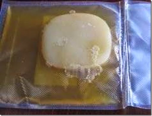 scoby