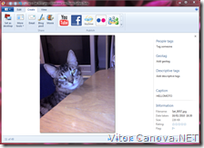 Photo Gallery e Movie Maker