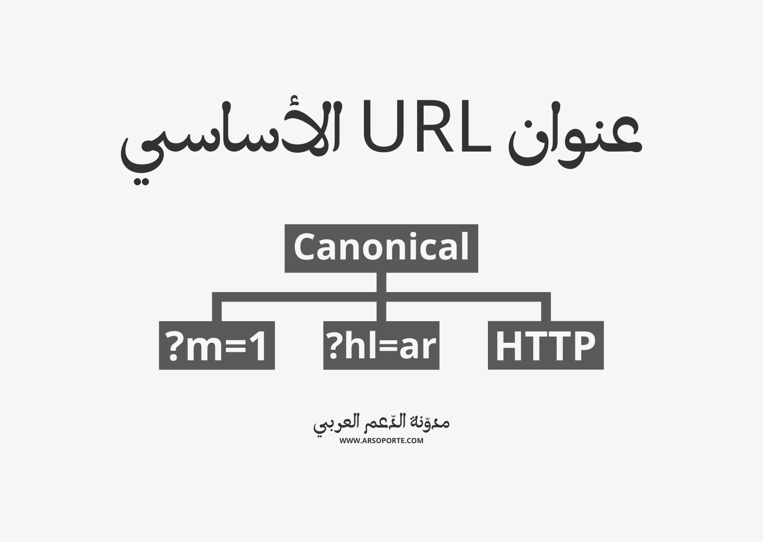 ما هو عنوان URL الأساسي؟