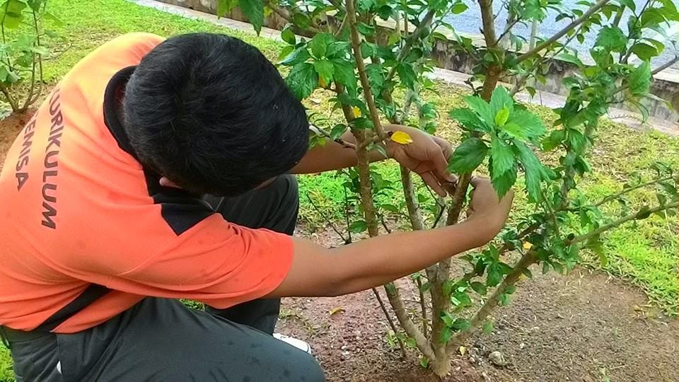 Contoh Surat Rayuan Naik Pangkat - Persoalan p