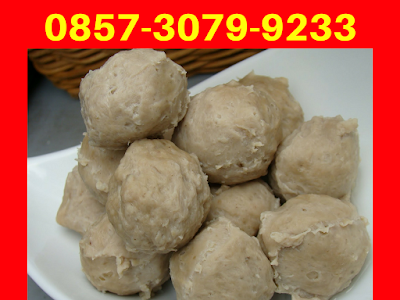  Bakso Isi, Jual Bakso isi, Produsen Bakso Isi, Agen Bakso Isi, Distributor Bakso Isi, Toko Bakso Isi, Alamat Bakso Isi Surabaya, Produsen Bakso Isi Surabaya