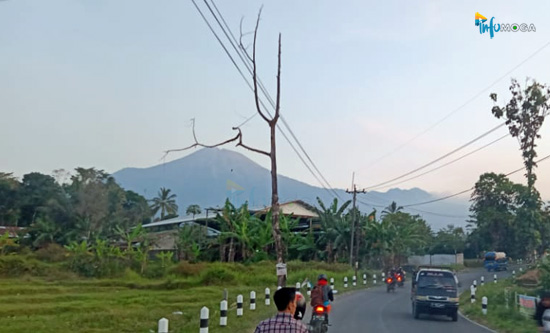 Prakiraan Cuaca Wilayah Moga & Sekitarnya Hari Ini, Jumat 7 Agustus 2020