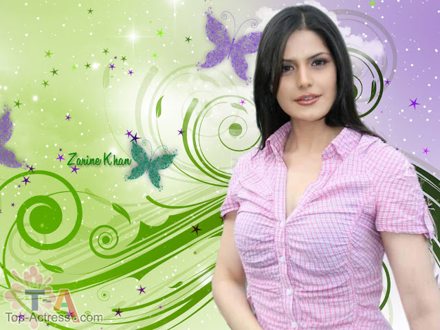 Indian Celebrities Zarine Khan Hot HD Backgrounds 1024x768