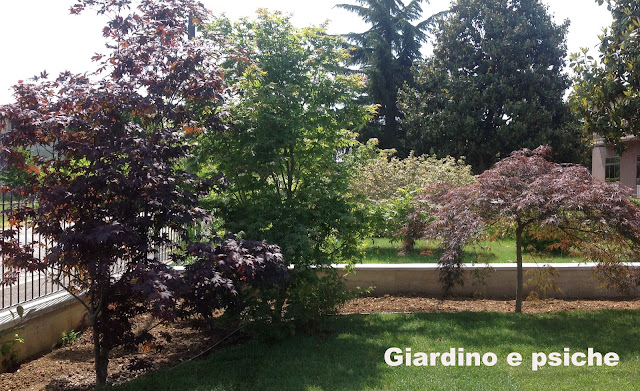 Giardino in Anghiari