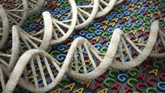 Apa saja Cabang-Cabang Dalam Ilmu Genetika?