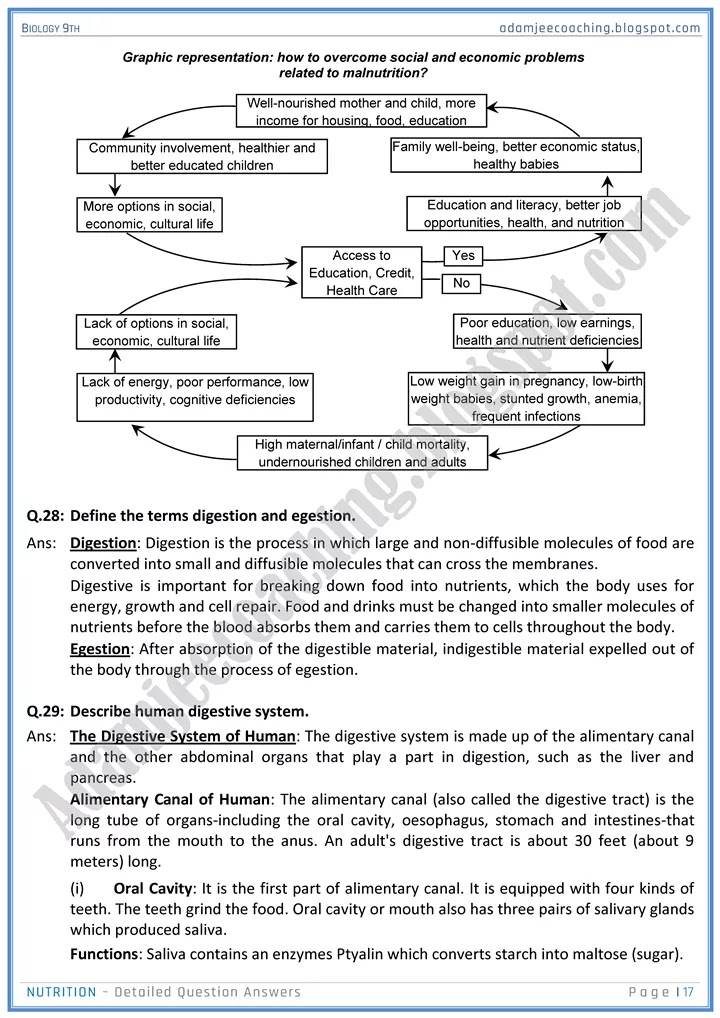 nutrition-detailed-question-answers-biology-9th