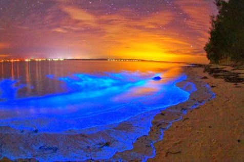 Pantai Dengan Airnya Yang Bisa Menyala Malam Hari  