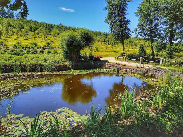 widok na czereśnie w ogrodzie botanicznym w Wojsławicach