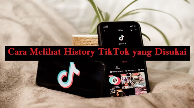 Cara Melihat Video yang Kita Posting Ulang di TikTok