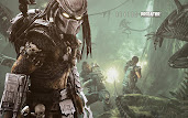 #13 Aliens vs Predator Wallpaper