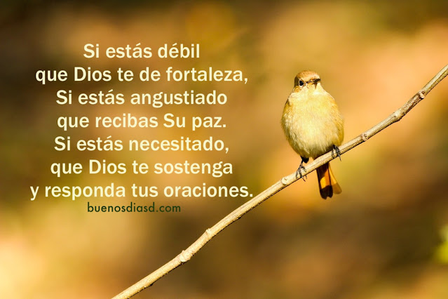 frases cortas de motivacion para este dia reflexion pensamientos cristianos