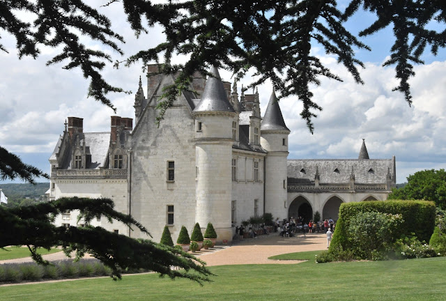 Een kastelentocht door de Loirevallei