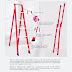 RED LADDER - MULTI PURPOSE LADDER AVAILABLE