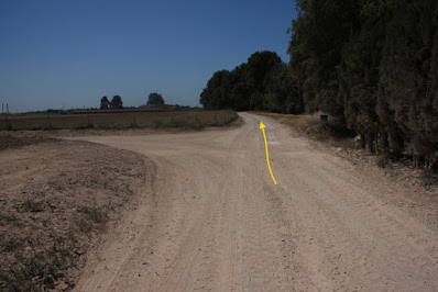 SANTA OLIVA CAMÍ DELS TURONS + CAMÍ DEL CAMP DE COLL - ESGLESIA DE SANT MIQUEL - RIERA DE SANT MIQUEL, camí en direcció als Masos de Mas Roig i Can Ravella  al terme municipal de Banyeres del Penedès - Baix Penedès