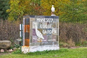 Minnesota Goose Garden in Sandstone