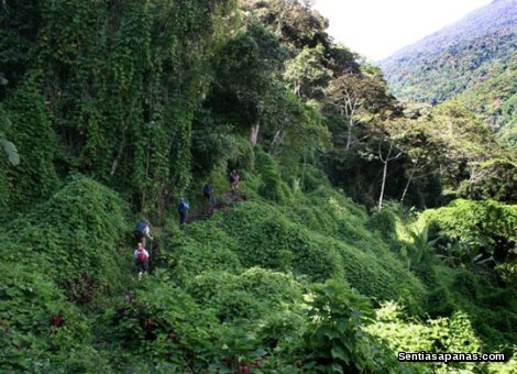 Kokoda Track