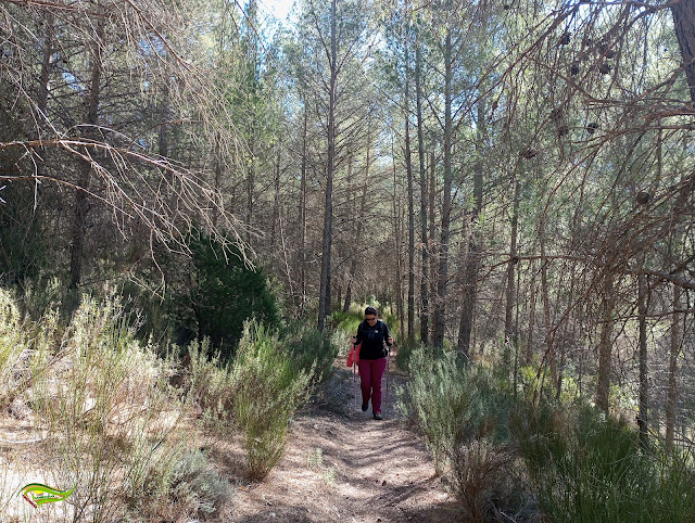 Río Alhárabe, Barranco de Hondares y pasos de El Poyato y El Toril