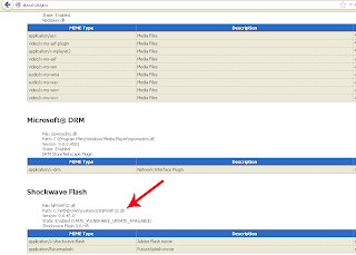 plugin.expose_full_path