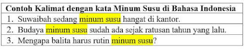 27 Contoh Kalimat Minum Susu di Bahasa Indonesia