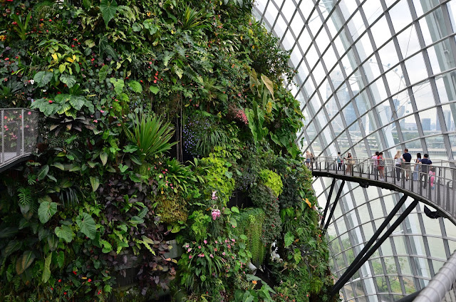 Las Deszczowy - Cloud Forest Dome - Singapur