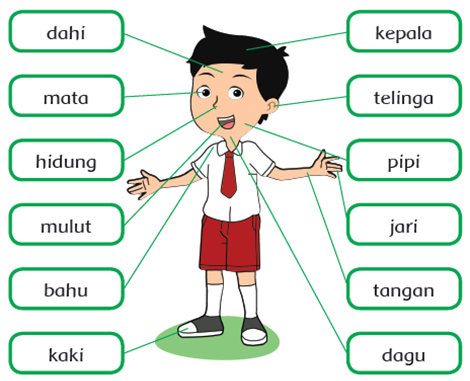 Materi IPA Kelas 1 SD