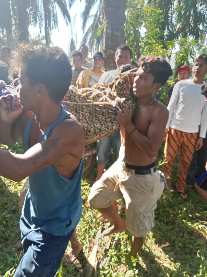 Cari Ikan di Sungai, 2 Petani di Simalungun Ditemukan Tewas Hanyut di Sungai 