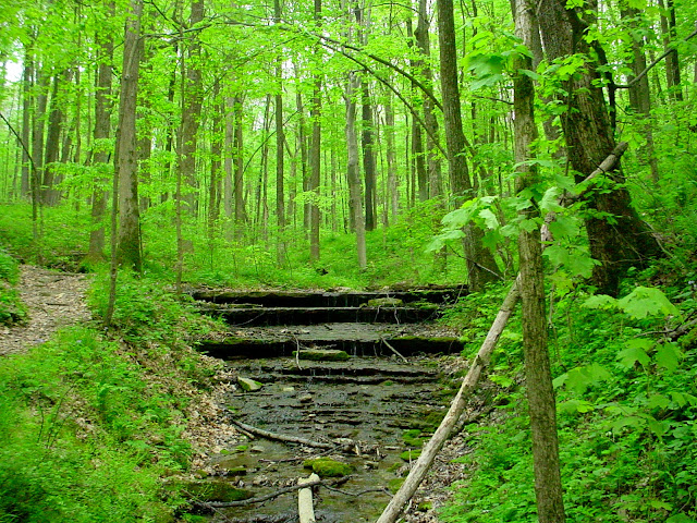 Versailles State Park