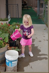 DSC_0059 DSC_0059