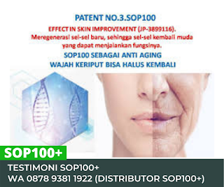 Jual Sop 100 Salmon Pekanbaru