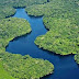 20% Oxygen of Earth comes from the Amazon Rainforest 