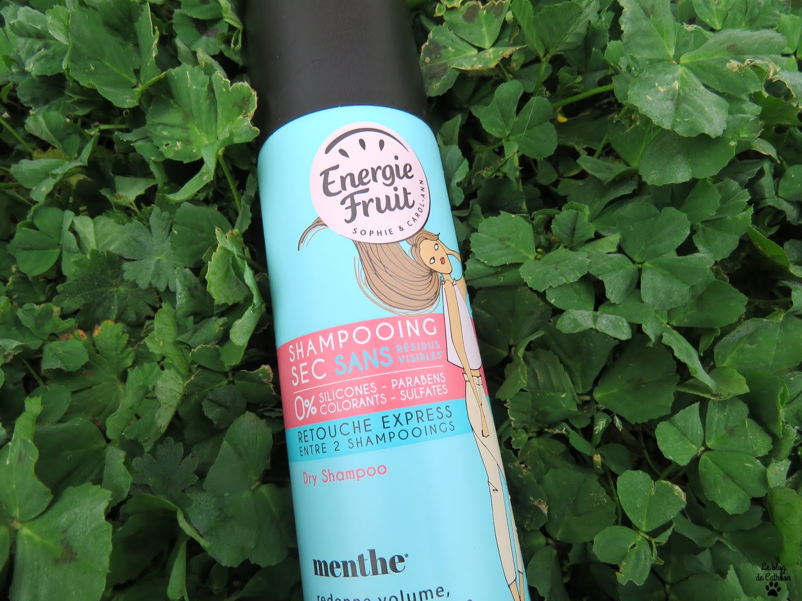 Shampoing Sec Menthe - Energie Fruit