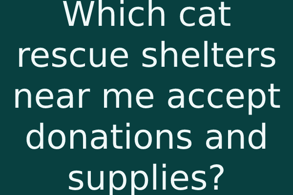 Which cat rescue shelters near me accept donations and supplies?