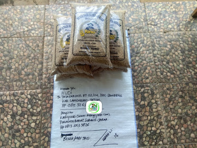 Benih padi yang dibeli EUIS SUTARSIH Sukoharjo, Jateng Ke-18 (Sebelum packing karung ).