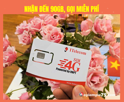 Sim 3GB 1 ngày Vina rẻ nhất