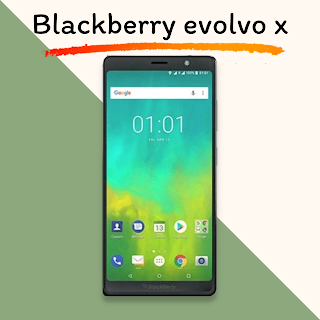 blackberry evolvo x