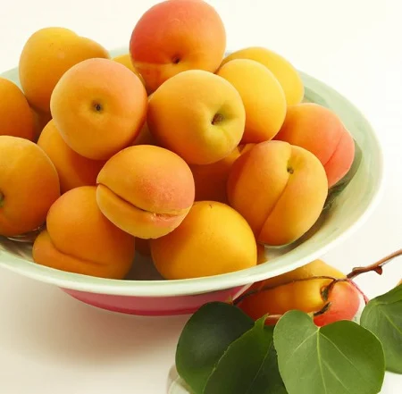 Apricot benefits for skin