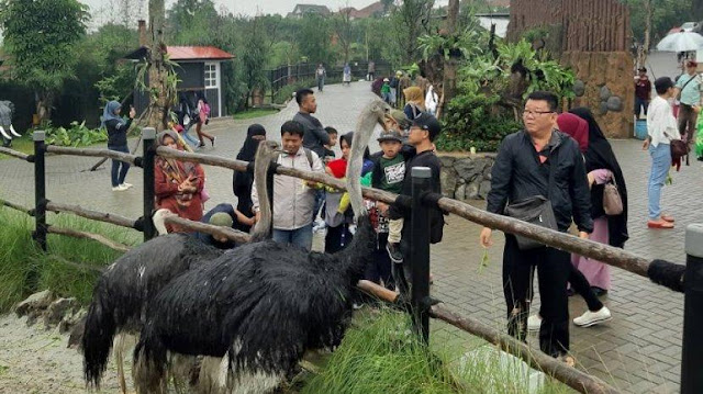 36 TEMPAT WISATA DI LEMBANG BANDUNG