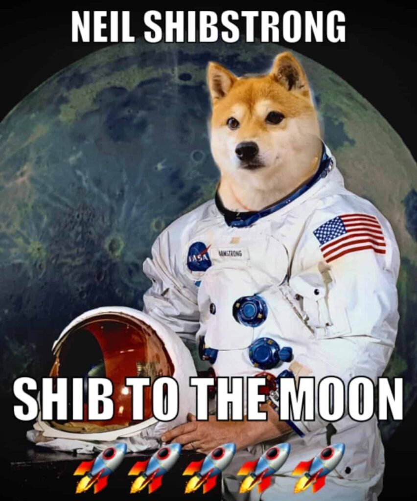 shib-to-the-moon