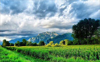 Paisajes naturales VII (Más allá de los verdes prados)