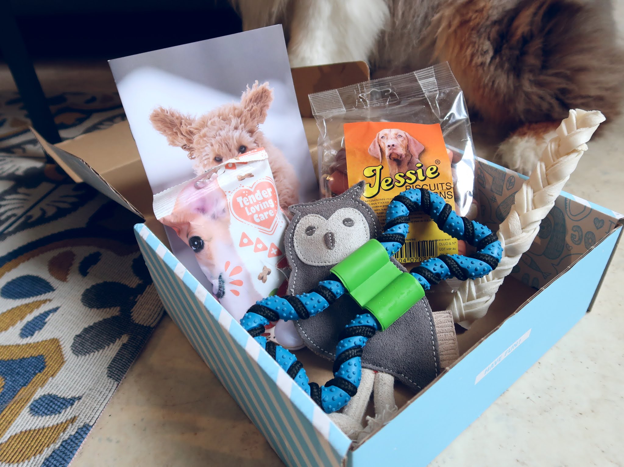 Woofbox de janvier 2021