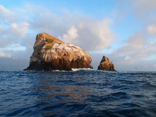 Gordon Rocks, Galapagos