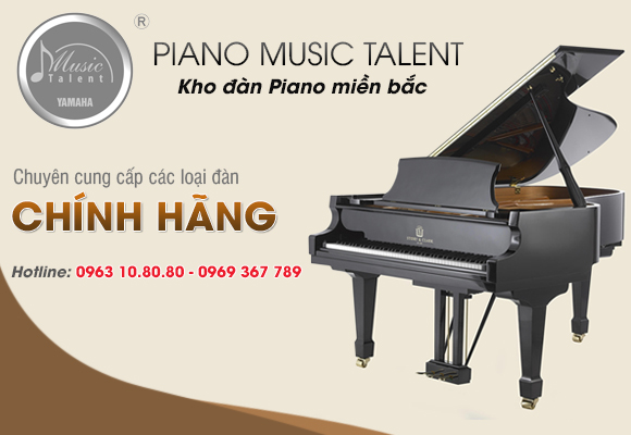 tong-dai-ly-dan-piano
