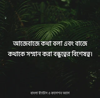 বন্ধুদের সাথে কাটানো সময় নিয়ে স্ট্যাটাস