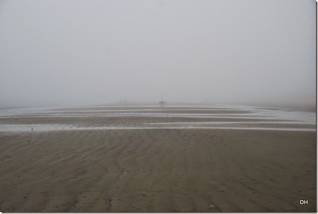 03-20-15 C Jekyll Island (98)