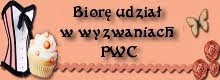 http://projektwagiciezkiej.blogspot.com/2014/10/paskowe-wyzwanie-anniko.html