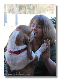 Bentley Basset and M. K Clinton touching paws