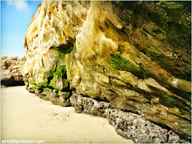 Natural Bridges State Park en Santa Cruz