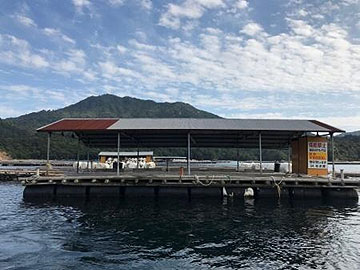 ａ ｃａｔｃｈ 釣果 広島県宮島沖 筏のチヌかかり釣り