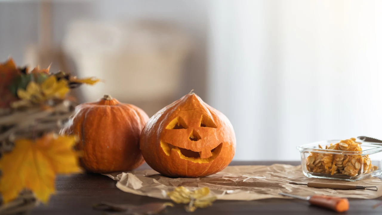 An Enchanting Encounter: The Magical Charm of Pumpkin with Tiny Face