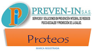 carin-prieto-prevenin-preve-in-prevención-consumo-drogas-niños-niñas-jóvenes-asesorías-proyectos